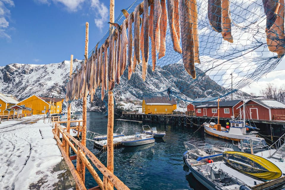 From Svolvær: Reine & Å Lofoten West Island Full Day Tour - What to Pack