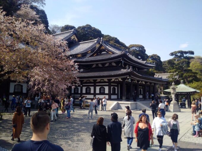 From Tokyo: Kamakura, Enoshima Private Day Tour - Enoshima Island Exploration