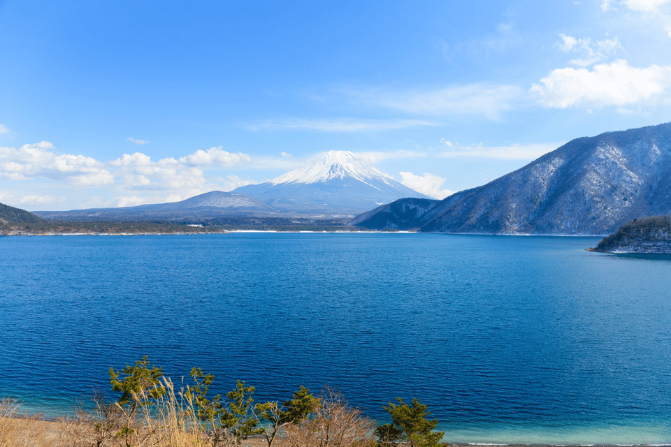 From Tokyo: Mount Fuji and Fuji 5 Lakes Private Guided Tour - Important Considerations