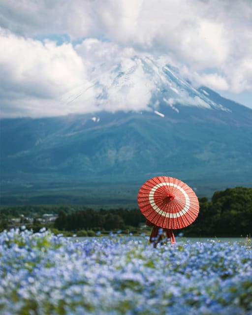 From Tokyo: Mount Fuji Instagram Spots 1-Day Private Tour - Important Notes