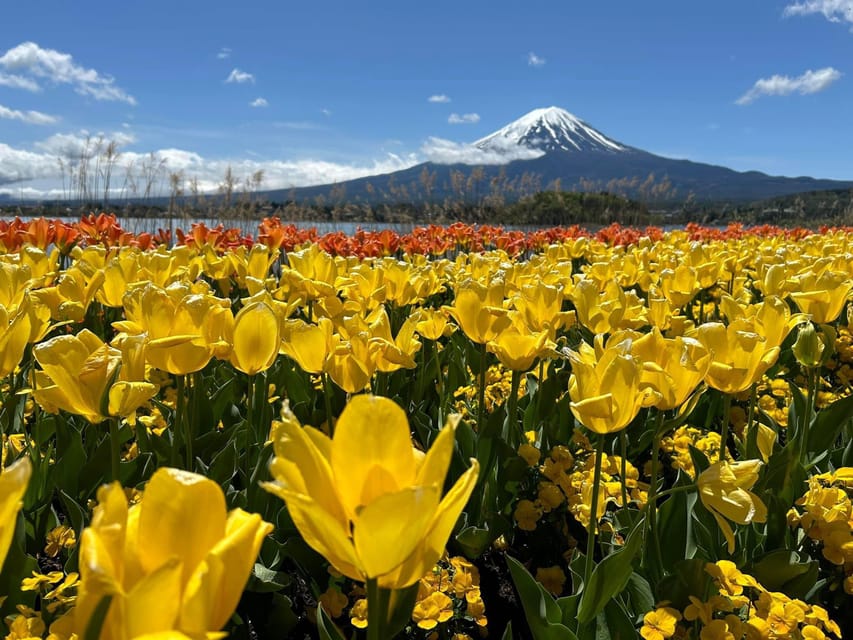 From Tokyo: Mt Fuji and Lake Kawaguchiko Private Day Trip - Tips for a Great Experience