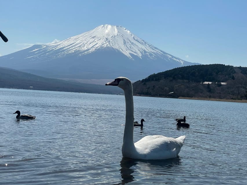 From Tokyo: Mt. Fuji Highlights Customizable Private Tour - Customer Experiences