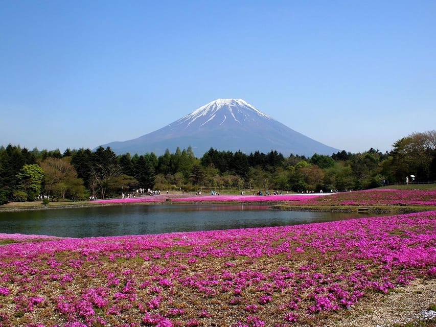 From Tokyo: Mt. Fuji or Hakone Private Sightseeing Day Trip - Nearby Attractions