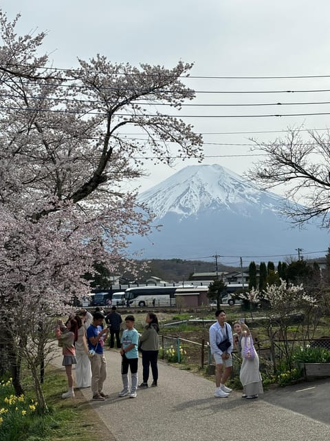 From Tokyo: Mt. Fuji Private Car Day Trip With Guide - Booking Process