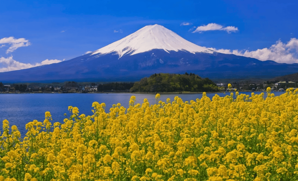 From Tokyo: Mt. Fuji Private Day Tour With English Driver - Recap