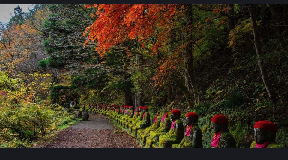 From Tokyo: Nikko 1 Day Private Tour With English Driver - Tips for a Great Tour