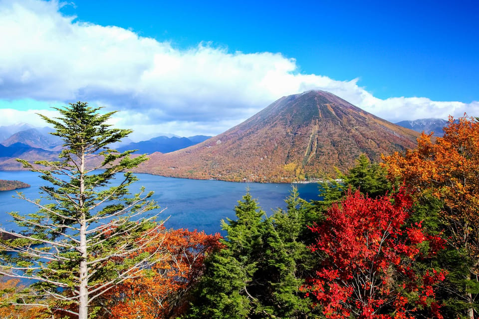 From Tokyo: Nikko Private Day Trip With English Guide - Booking and Cancellation Policy