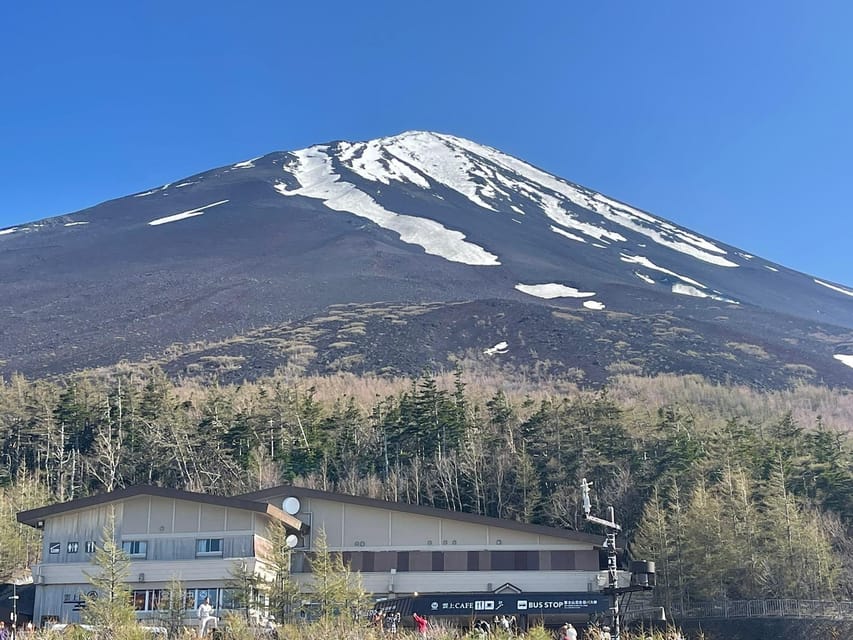 From Tokyo: Private Mt. Fuji Tour With Guide - Booking and Cancellation Policy