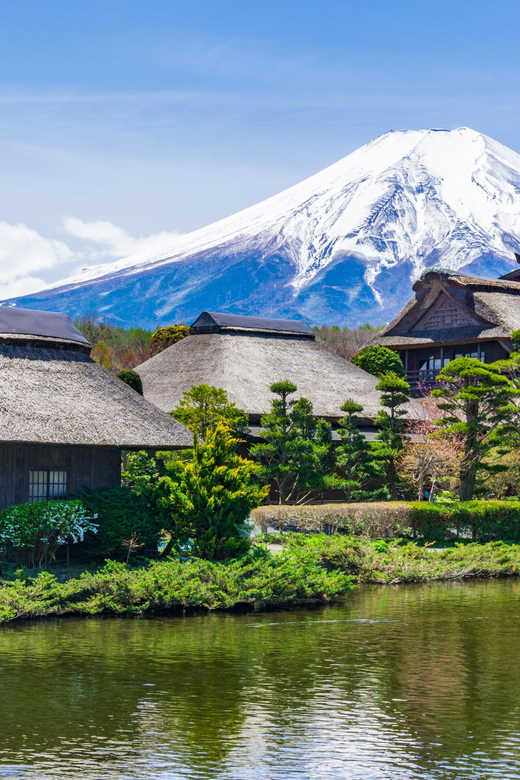 From Tokyo: The Perfect Hakone & Oshino Hakkai Day Trip - Booking Information