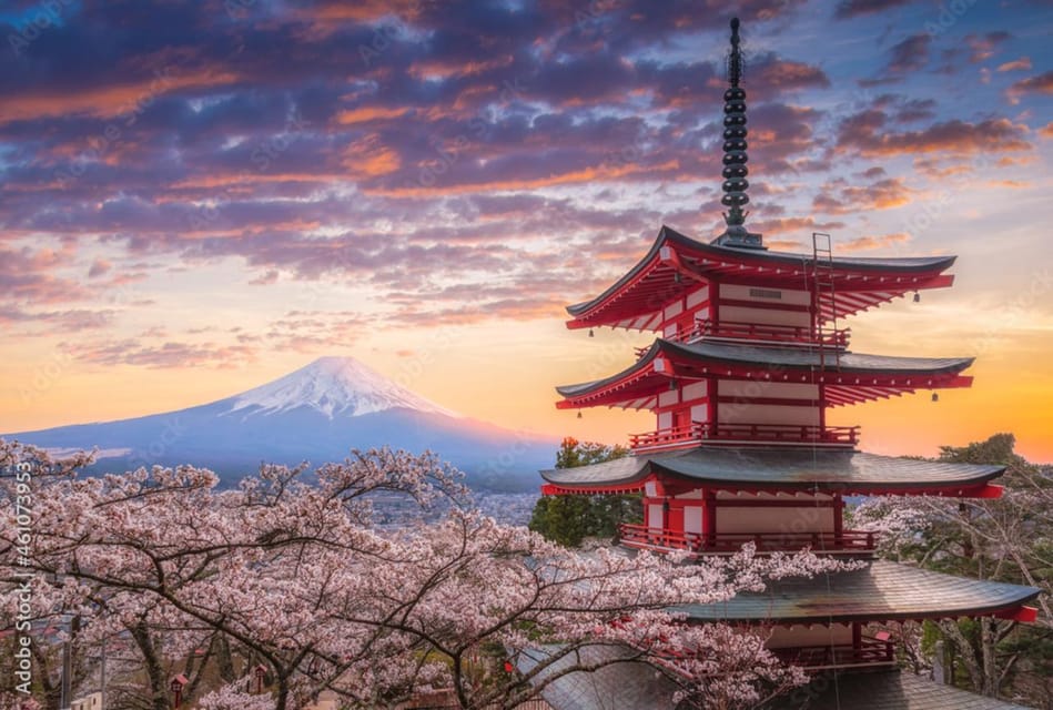 From Tokyo to Mt.Fuji ,Hakone to Anywhere in Japan - Best Times to Visit