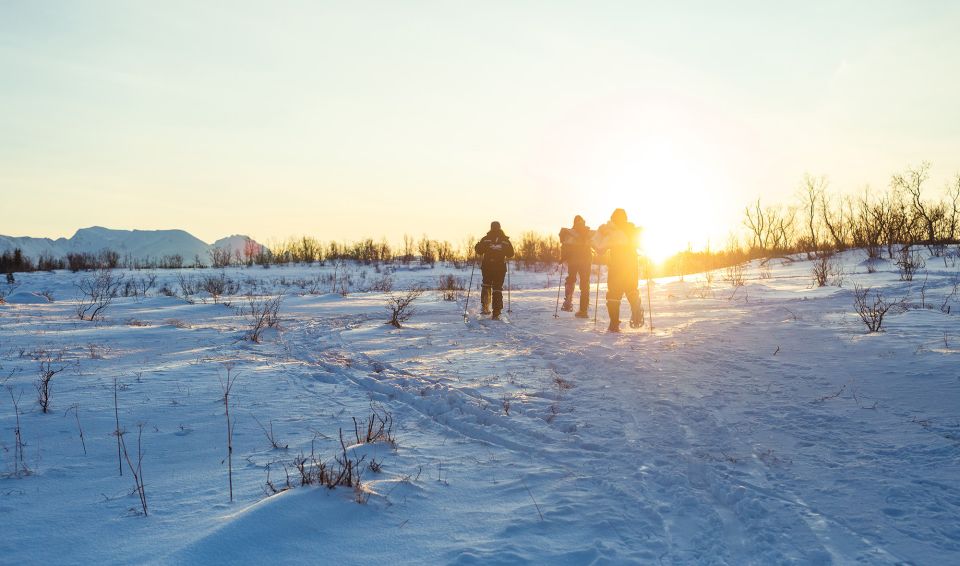 From Tromsø: Guided Husky Snowshoe Hike and Husky Camp Visit - Preparing for Your Adventure