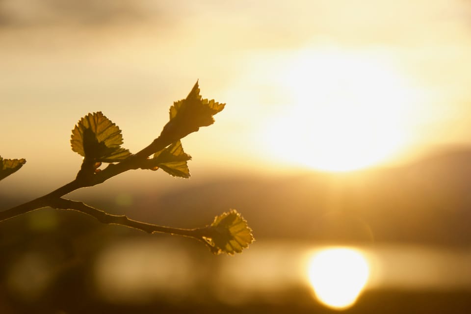 From Tromsø: Sommarøy Midnight Sun Sea Kayaking Tour - Booking and Cancellation Policy