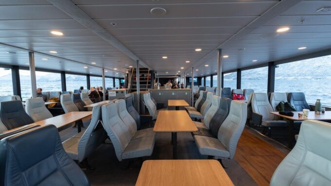 From Tromsø: Whale Watching Safari on High-Speed Catamaran - Booking and Cancellation Policy