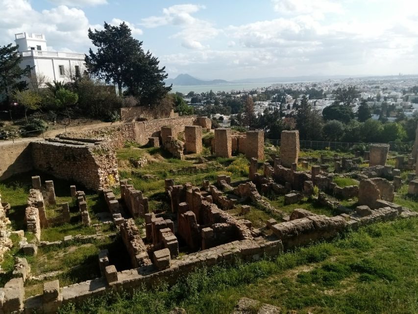 From Tunis: Half-Day Tour to Carthage and Sidi Bou Said - What to Bring