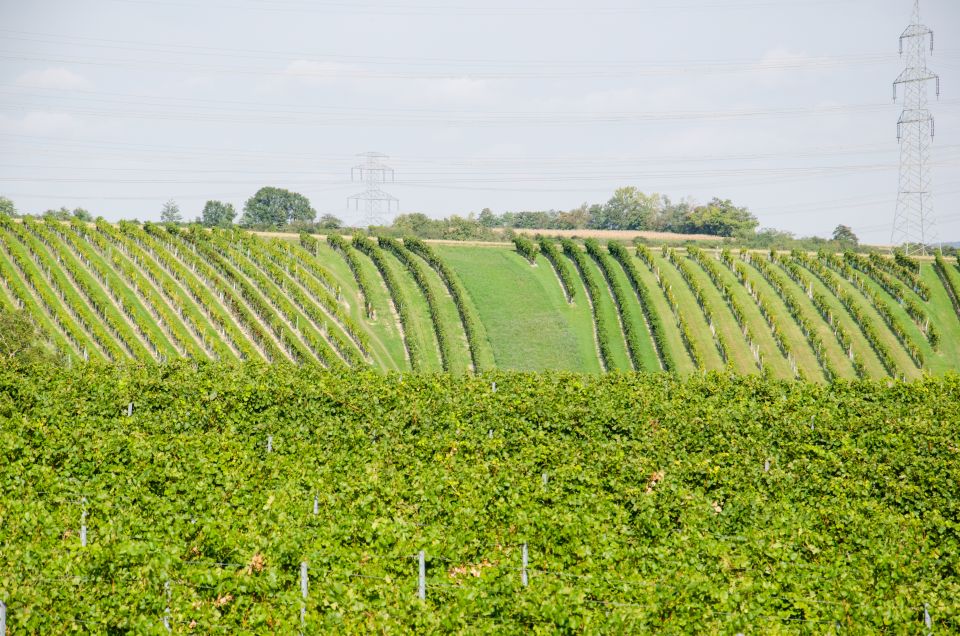 From Vienna: Half-Day Countryside Wine Tour With Meal - Frequently Asked Questions