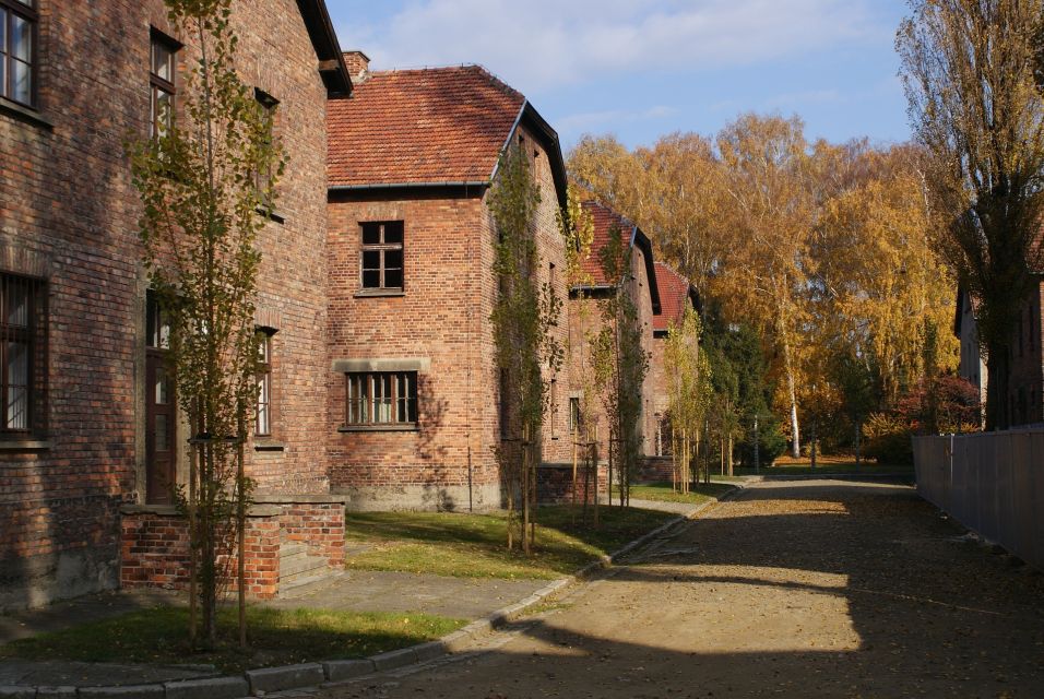 From Warsaw: Auschwitz-Birkenau Small Group Tour With Lunch - Tips for Your Visit