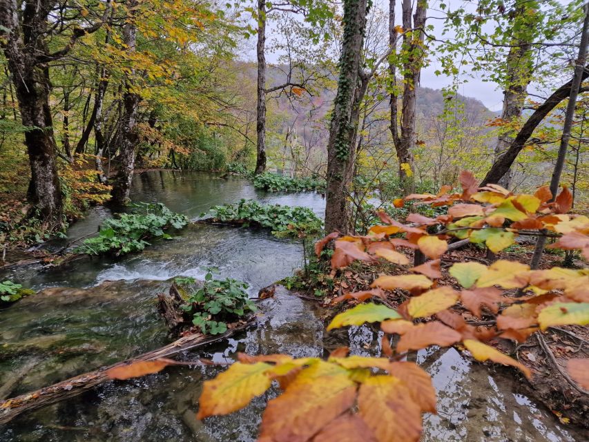 From Zadar: Plitvice Lakes Day Tour With Boat Ride - Customer Reviews and Ratings