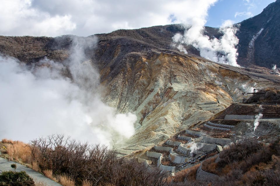 FromTokyo: Hakone & Lake Ashi Private Chartered Day Trip - Booking Information