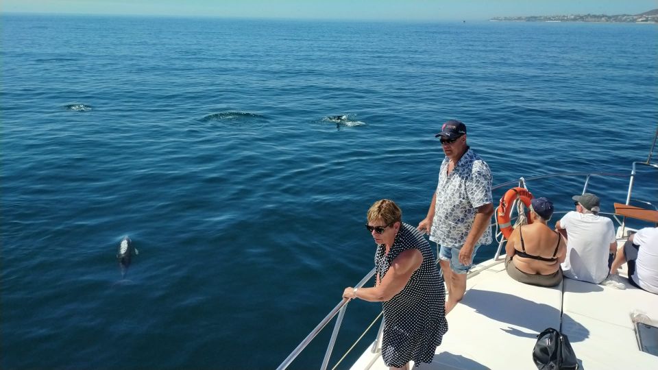 Fuengirola: Dolphin Spotting Yacht Tour With Drinks & Snacks - Meeting Point