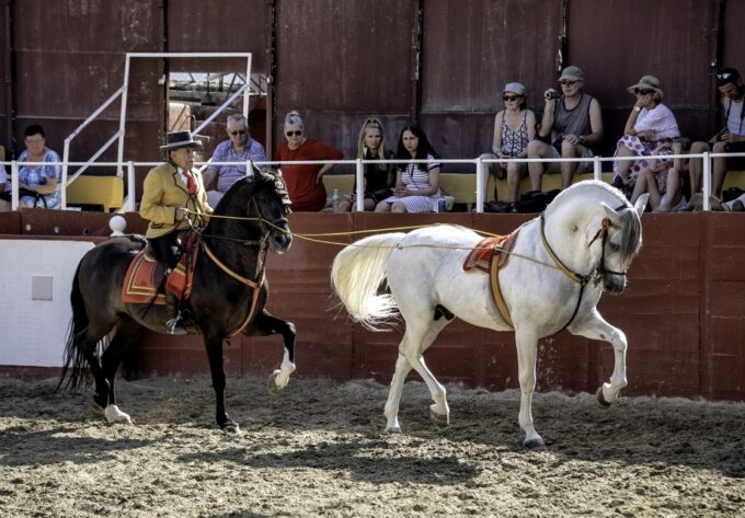 Fuengirola: Spanish Horse Show With Optional Dinner/Flamenco - Booking and Cancellation Policy