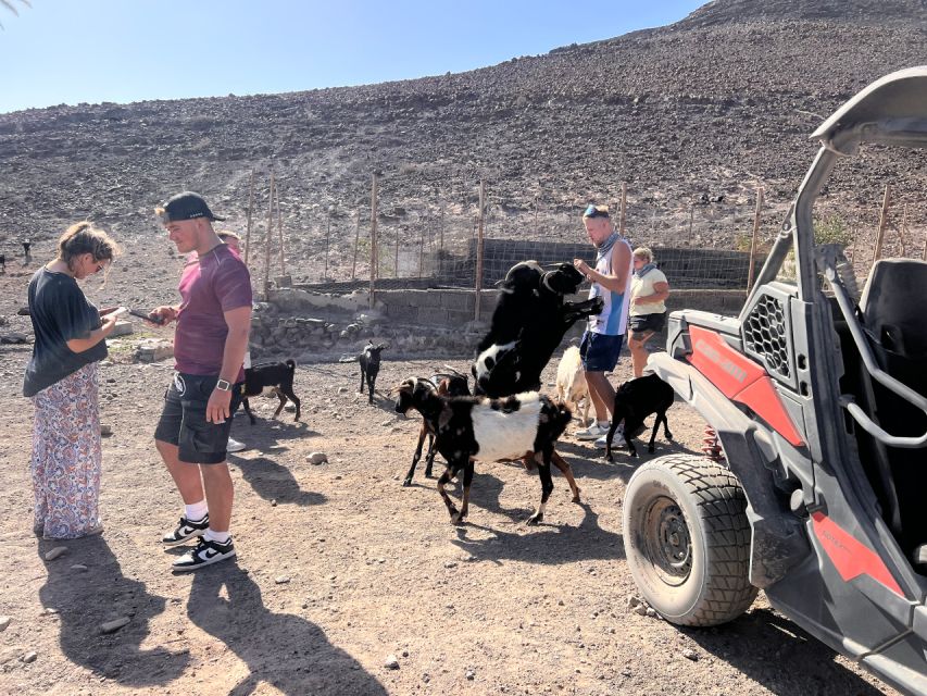 Fuerteventura: Buggy Tour in the South of the Island - Pickup and Locations