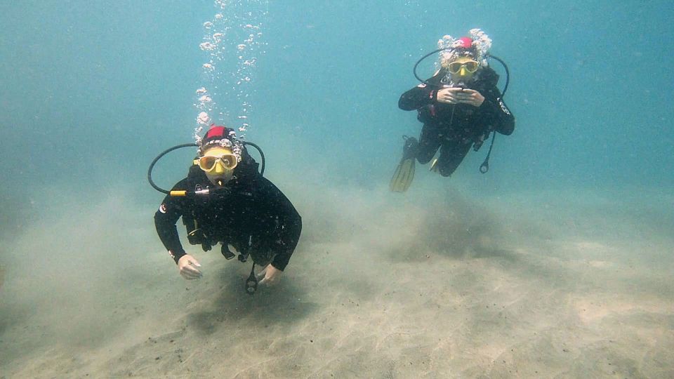 Fuerteventura : Discover Scuba Diving - Post-Dive Experience