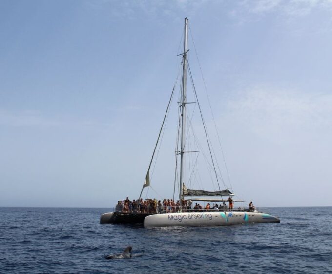 Fuerteventura: Magic Catamaran Trip With Food and Drinks - Booking Details