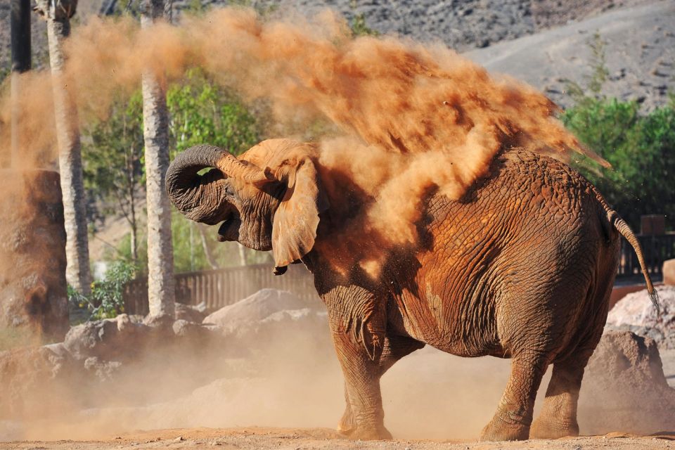 Fuerteventura: Oasis Wildlife Entry Ticket - Thrilling Animal Interactions