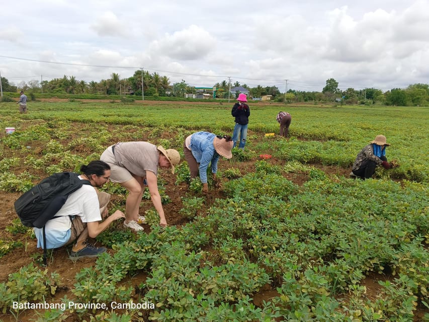 Full-Day Original Bamboo Train, Wat Banan, Phnom Sampov - Booking Details