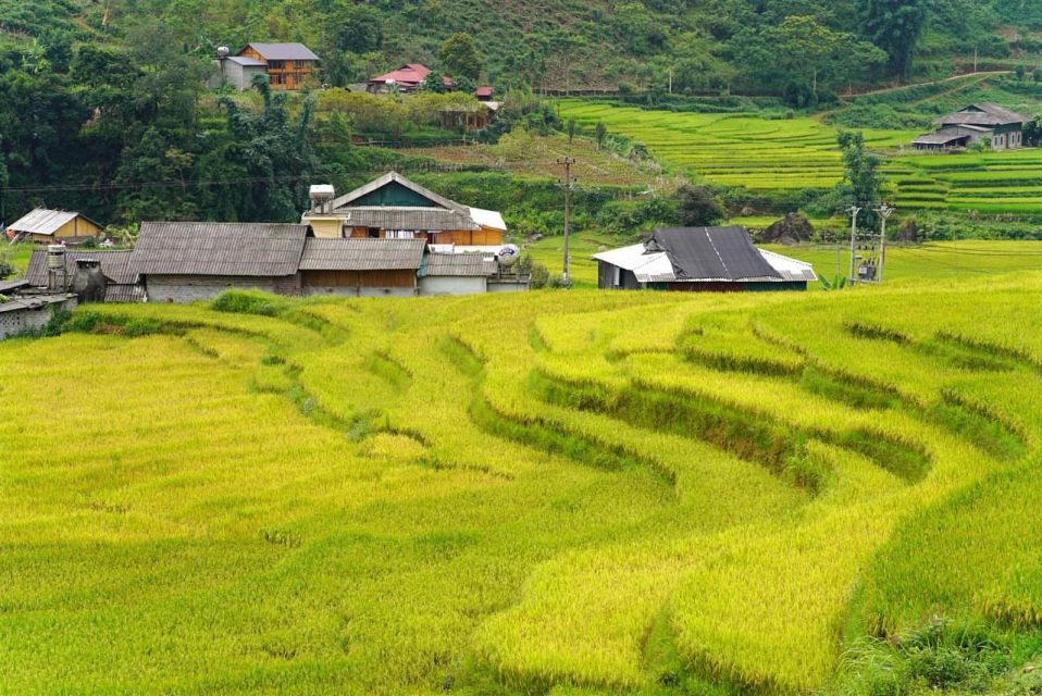 Full Day Trekking Lao Chai-Ta Van and Cat Cat Village - Trekking Tips