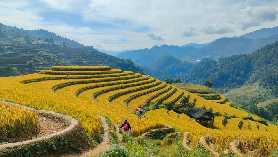 Full Day Trekking Mu Cang Chai | Travel Buddies