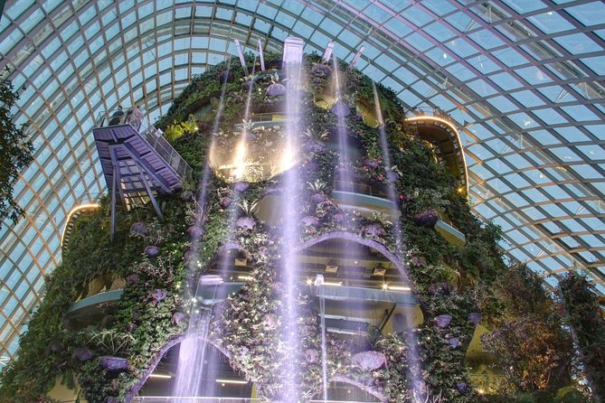 Garden by the Bay With Two Domes (Shared Transfer) - Visitor Reviews and Insights