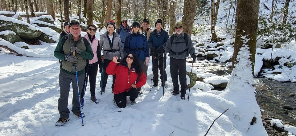 Gatlinburg: Great Smoky Mts National Park Waterfall Tour - Exploring Ancient Trees and Waterfalls