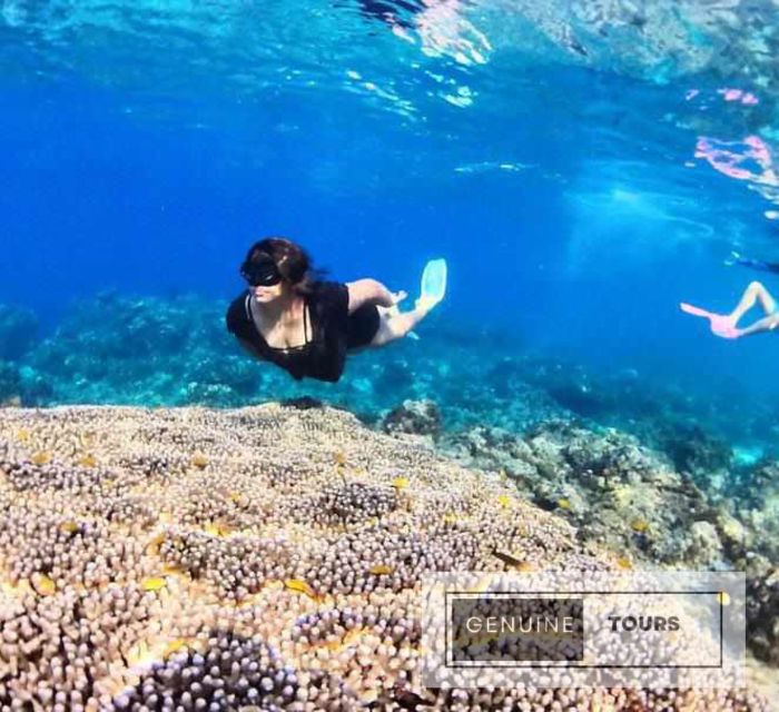 Genuine Tours - OSLOB Snorkeling - Important Information