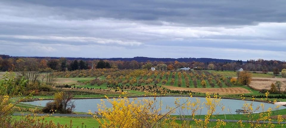 Gettysburg: Horse-Drawn Carriage Tour Countryside & Orchards - Important Tour Information