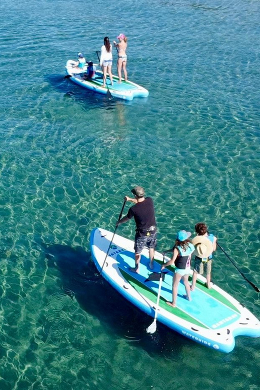 Giant Paddle Board Mantaray Tour - Includes 4 People - Customer Testimonials