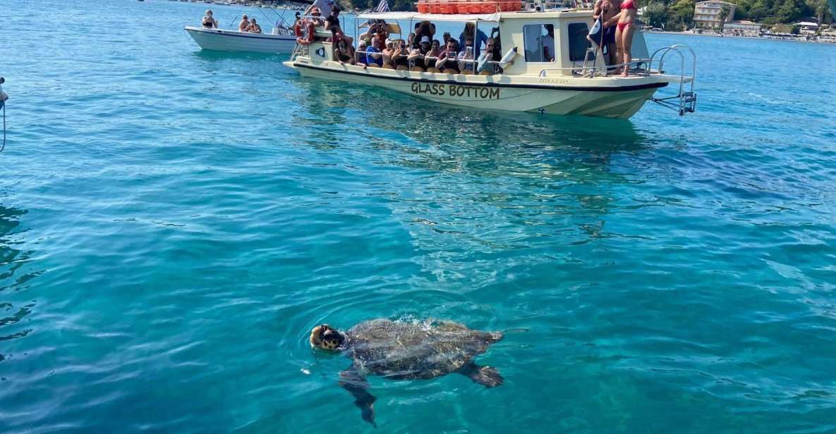 Glass Boat Cruises to Spot Turtles - Frequently Asked Questions