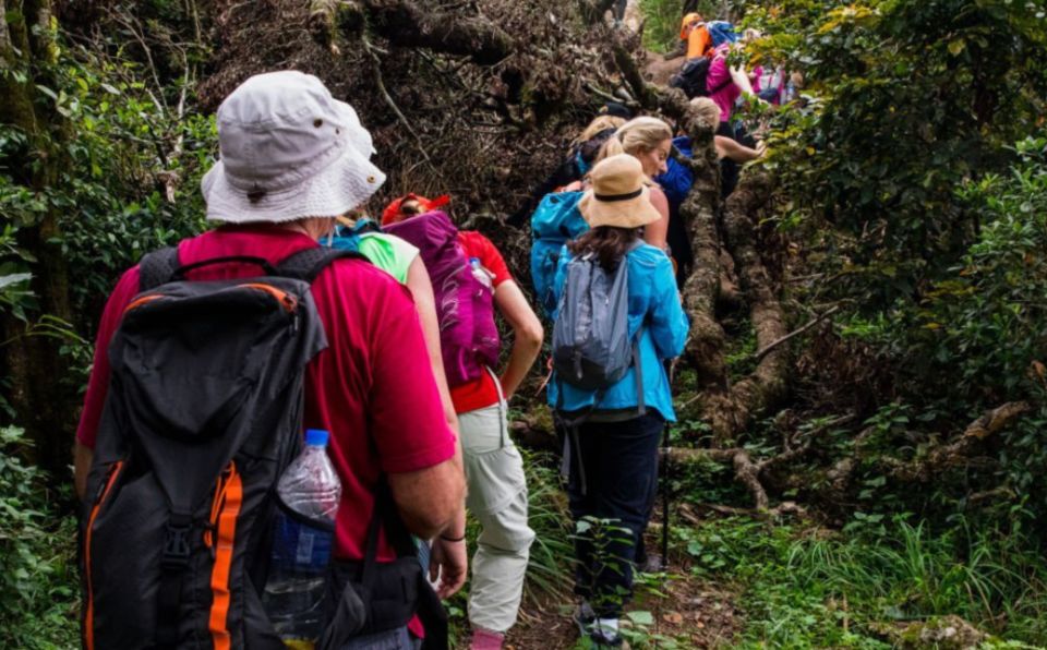 Goddess Of The Hills - Hiking Machla Magra - Accessibility Considerations