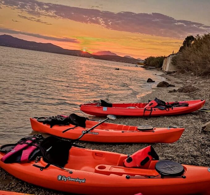 Golfo Aranci: Sunset Dolphin Kayak Tour With Aperitif - Dolphin Watching Opportunity