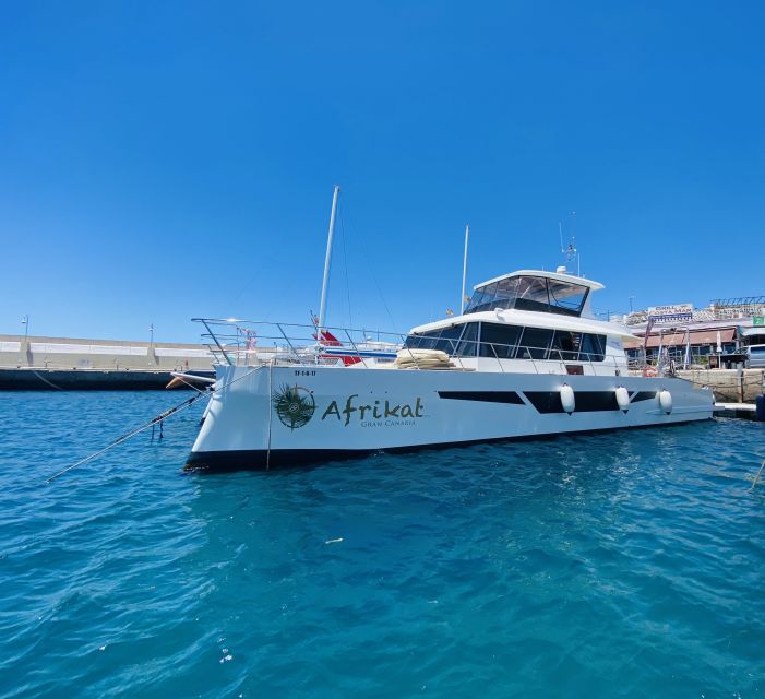 Gran Canaria: Fun Catamaran Cruise With Food and Drinks - Customer Reviews