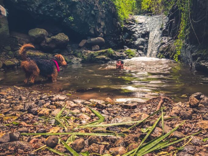 Gran Canaria: Guided Day Tour to Rainforest With Tasting - Booking and Payment Options