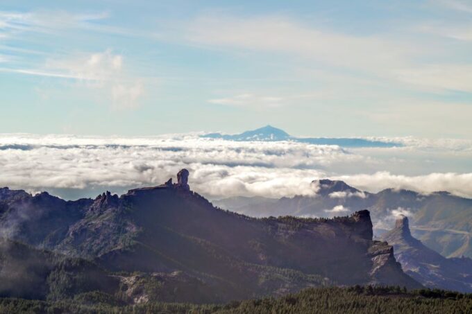 Gran Canaria: Highlights Tour, Hike in the Lauer Forest - Languages and Pickup