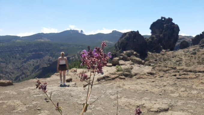 Gran Canaria: Highlights Tour Roque Nublo by 2 Native Guides - Frequently Asked Questions