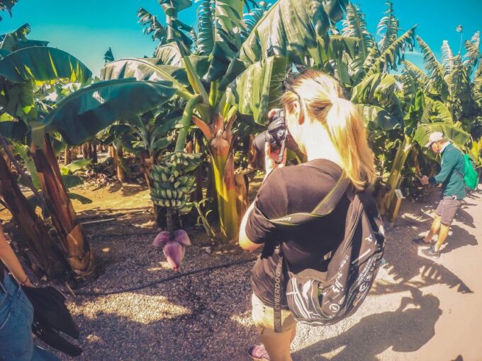 Gran Canaria: North Coast Tour - Salt, Rock Pools, Snorkel ツ - Gáldar Cathedral