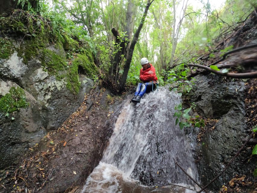 Gran Canaria: Rainforest Canyoning Tour With Gear and Snack - Meeting Point and Transportation