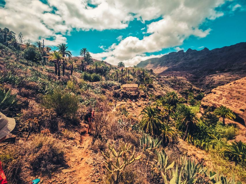 Gran Canaria: the Red Canyon Tour With Local Food Tasting - Booking and Availability