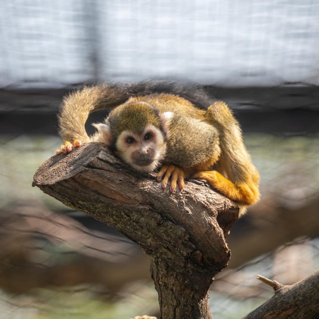 Great Plains Zoo - Frequently Asked Questions
