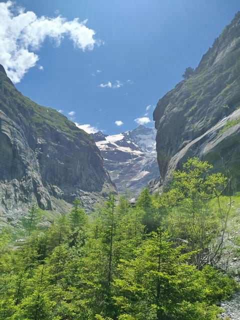 Grindelwalds Captivating Hike to Glacier Canyon - Safety Guidelines and Recommendations