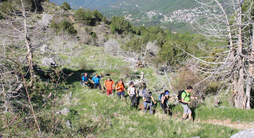 Guided Hiking Tour to the Dragon Lake of Mountain Tymfi - Booking Information