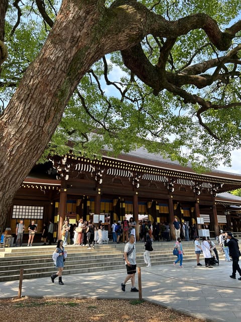 Guided Tour of Meiji Jingu in Harajuku and Chauffeur Service - Frequently Asked Questions